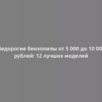 Недорогие бензопилы от 5 000 до 10 000 рублей: 12 лучших моделей